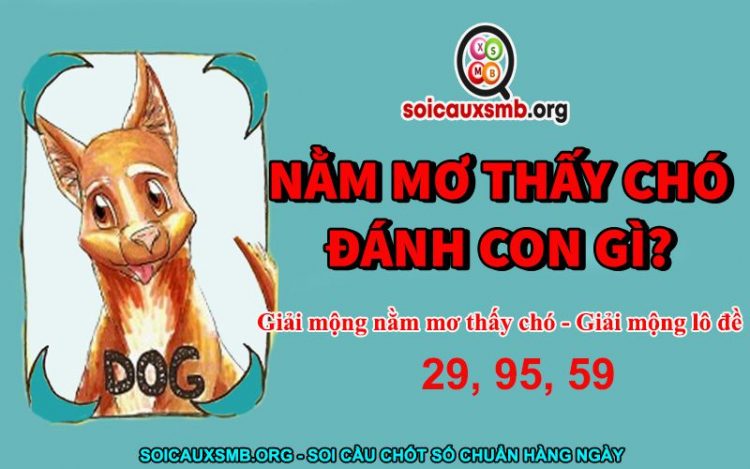 nam-mo-thay-cho-danh-con-gi-750x469