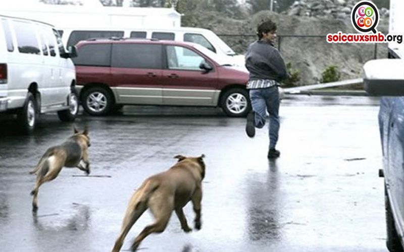 nam-mo-thay-cho-duoi